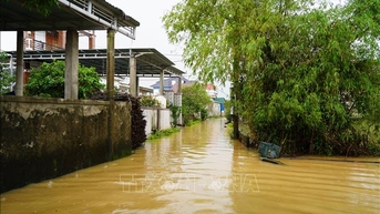 Quảng Trị: Hơn 3.600 nhà dân bị ngập nước do mưa lớn kéo dài