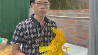 Hoa nở từ bàn tay nghị lực