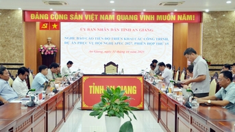 Chủ tịch UBND tỉnh chỉ đạo xử lý các công việc của APEC theo tinh thần “luồng xanh”