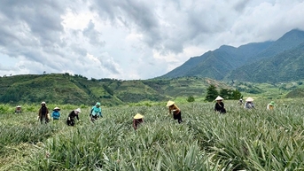 Pắc Ta xây dựng nông thôn mới