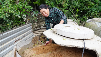 Người dân gượng dậy sau khi lũ rút