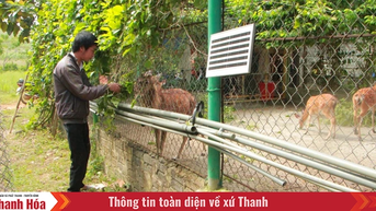 Trao sinh kế cho hộ nghèo