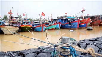 Quảng Ninh tạm ngừng cấp phép thăm quan, lưu trú trên biển từ sáng 5/10