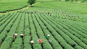 Nới cơ chế tín dụng nông nghiệp, nông thôn