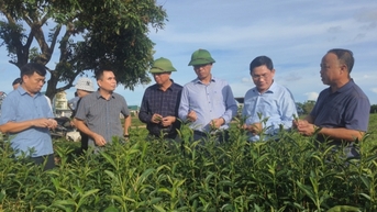 Thúc đẩy phát triển kinh tế nông nghiệp: Bước chuyển từ yêu cầu thực tiễn