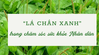 "Lá chắn xanh" trong chăm sóc sức khỏe Nhân dân