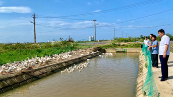 Để phát triển các mô hình kinh tế tập thể
