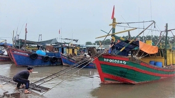 Hải Phòng kiểm đếm, thông báo kịp thời tới 1.603 tàu thuyền về neo đậu phòng, tránh bão số 11