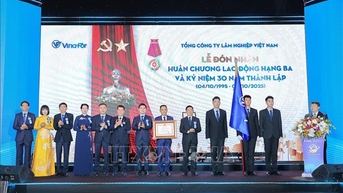 VINAFOR를 대규모 임업법인으로 발전시키다