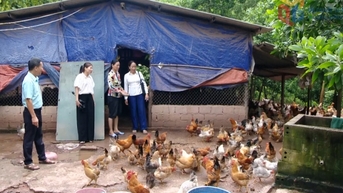 Phát huy vai trò của cán bộ mặt trận ở cơ sở