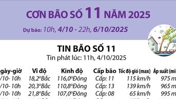 Đường đi của bão số 11 năm 2025