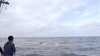 Tàu cá bị tông chìm trên biển: 10 thuyền viên được cứu, thuyền trưởng vẫn mất tích