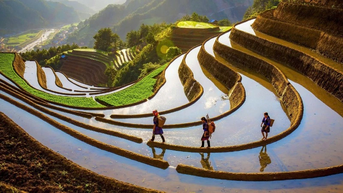 Vẻ đẹp nhân văn trong Triển lãm Mỹ thuật-Nhiếp ảnh "Sắc thu"