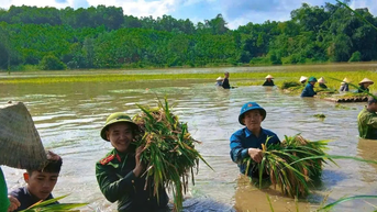 Các lực lượng khẩn trương ứng phó cơn bão số 11
