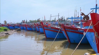 Bão số 11: Ninh Bình tổ chức neo đậu tàu thuyền xong trước 17 giờ ngày 5/10