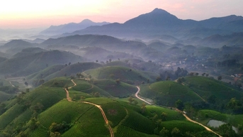 Săn mây trên đồi chè Long Cốc