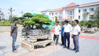 Đấu giá cây cảnh nghệ thuật ủng hộ “Quỹ vì người nghèo” xã Văn Giang