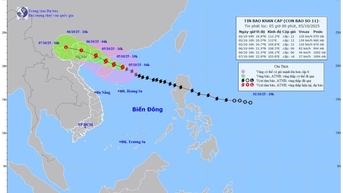 Bão số 11 (Matmo) đang mạnh cấp 12, giật cấp 15, cách Quảng Ninh khoảng 550km