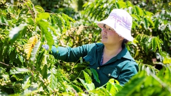GDP chín tháng tăng 7,85%: Kết quả của hàng loạt chính sách vĩ mô linh hoạt