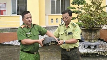 Công an xã Vàm Cỏ bàn giao cá thể rùa quý hiếm