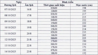  Tiếp tục tập trung theo dõi, ứng phó, khắc phục hậu quả thiên tai