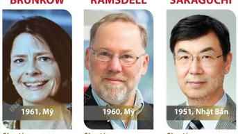 3 nhà khoa học dành giải Nobel Y sinh năm 2025