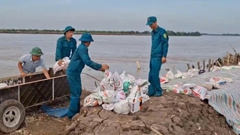 Kiến Hưng chủ động gia cố đê xung yếu, chuẩn bị phương án di dân an toàn