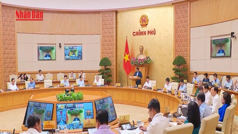 [Video] Thủ tướng chỉ đạo triển khai đồng bộ các giải pháp, phấn đấu hoàn thành mục tiêu năm 2025