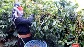 Lan tỏa phong trào thi đua yêu nước tới các cấp hội phụ nữ