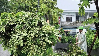 Sẵn sàng các phương án vệ sinh đô thị mùa mưa bão