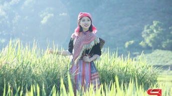 Phát triển nông nghiệp gắn với du lịch