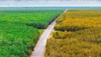 Vẻ đẹp say đắm lòng người của cung đường Hồ Chí Minh nhìn từ trên cao