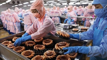 Thứ trưởng Phùng Đức Tiến: Dự kiến xuất khẩu nông lâm thủy sản sẽ đạt kỷ lục mới