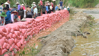 Văn Bàn: Chạy đua gia cố kè bảo vệ thôn Làng Chút trước bão số 11