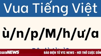 Đến 'vua của chữ' cũng chẳng tìm nổi lời giải