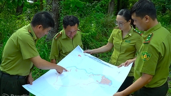 Gỡ khó trong giao khoán đất lâm nghiệp