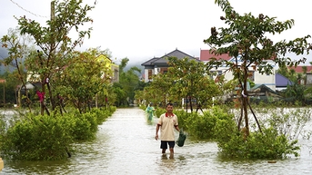 Thời tiết ngày 1/11: Mưa lớn diện rộng ở Trung Bộ, Bắc Bộ trời lạnh và có nơi rét