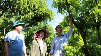 Bắc Ninh: Đồng bộ chính sách an sinh, tạo sinh kế để người dân thoát nghèo