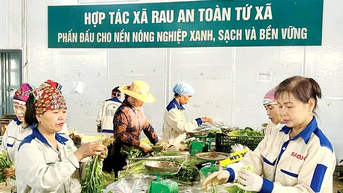 Nông nghiệp hữu cơ - Xu thế tất yếu của nông nghiệp hiện đại