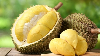 Giá sầu riêng 1/11: Sầu Thái VIP duy trì mức 120.000 đồng/kg