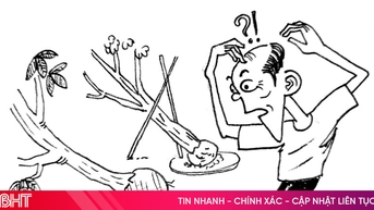 Trồng cái cây cũng theo kiểu “ăn nhanh”