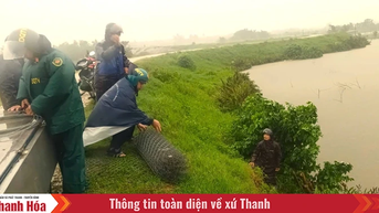 Những “người lính xanh” canh giữ bình yên thôn xóm