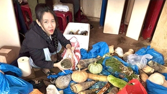 Viết tiếp hành trình công nghệ số