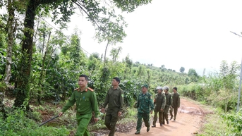 Tăng cường an ninh, bảo vệ an toàn mùa vụ cà phê ở xã biên giới Tuy Đức