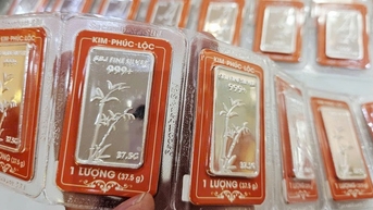 Giá bạc hôm nay 1-11: Dự báo sốc từ nay đến năm 2026