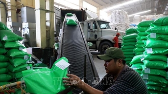 Hình mẫu xây dựng mạng lưới an ninh lương thực ASEAN