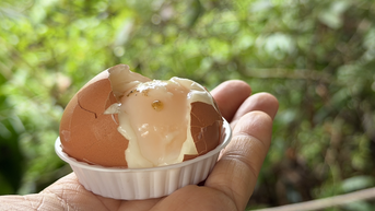 TP.HCM có nơi luộc trứng không cần đun nước, ăn lòng đào siêu ngon!