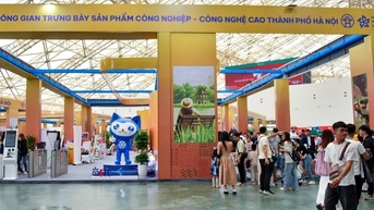 Nắm bắt “cơ hội vàng”