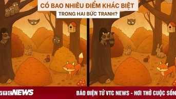 Câu đố dành cho người thuộc top tinh mắt nhất