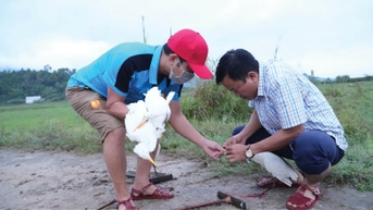 Quyết liệt hơn với nạn săn bắt chim trời